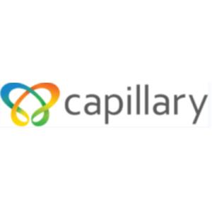 Capillary Technologies IPO IPO logo